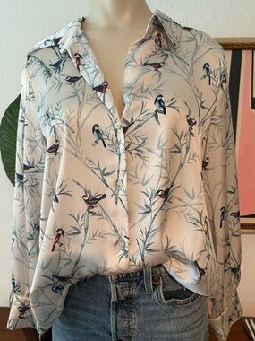 Zara Tan Satin Bird-Print Button-Down Shirt